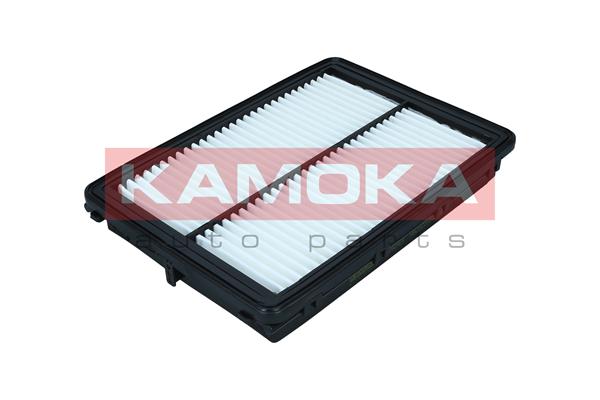 Air Filter (F242401)