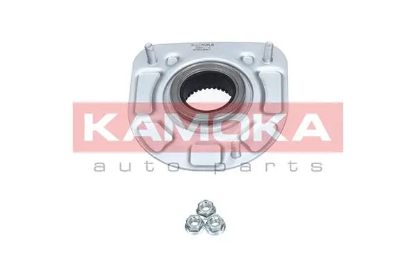 Repair Kit, suspension strut support mount (209116)