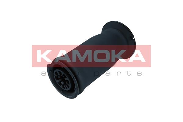 Air Spring, suspension