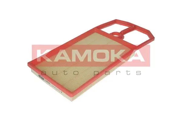 Air Filter (F206001)