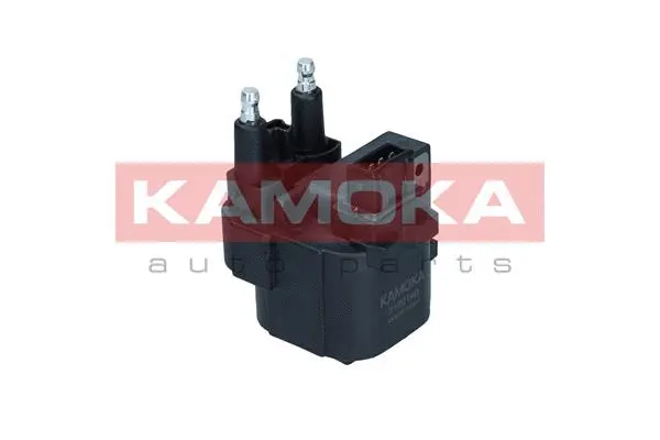 Ignition Coil (7120149)