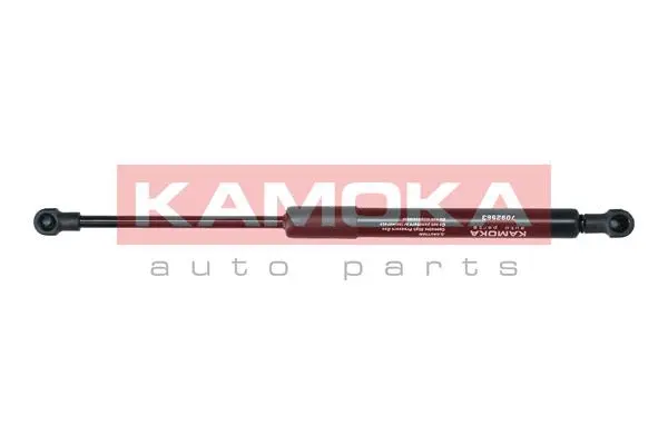 Gas Spring, boot/cargo area (7092563)