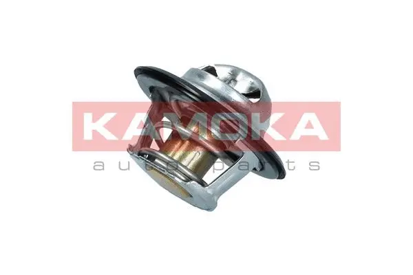 Thermostat, coolant (7710053)