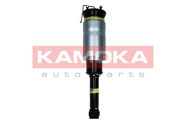 Air Suspension Strut (2070024)