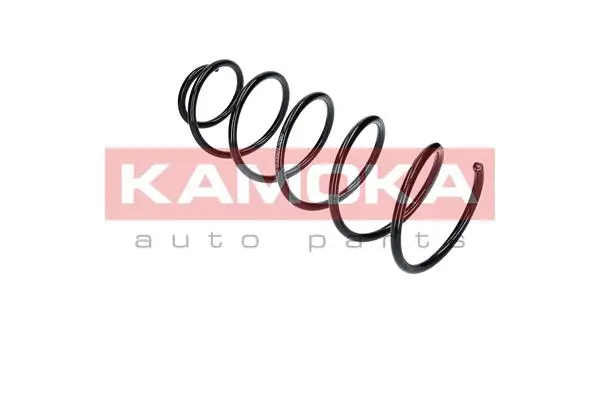 Suspension Spring