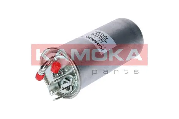 Fuel Filter (F317601)
