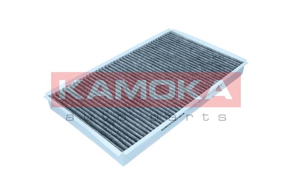Filter, cabin air (F521401)