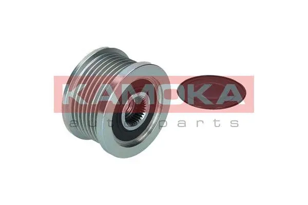 Alternator Freewheel Clutch