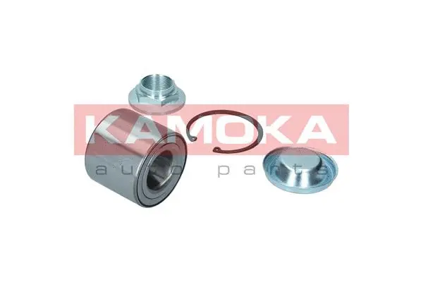 Wheel Bearing Kit (5600096)
