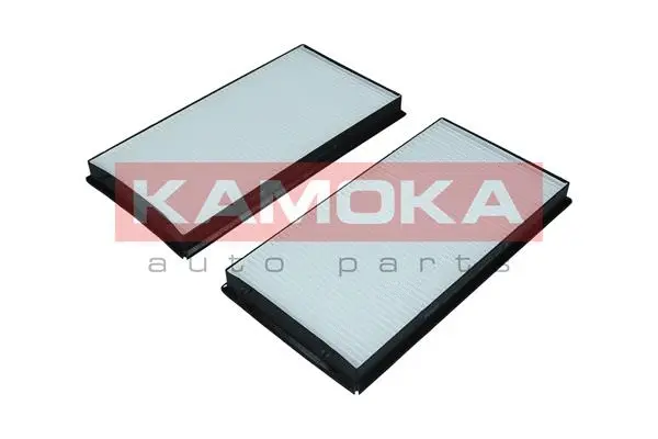 Filter, cabin air (F421001)