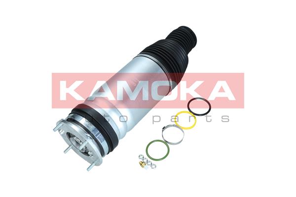 Air Spring, suspension (2079034)