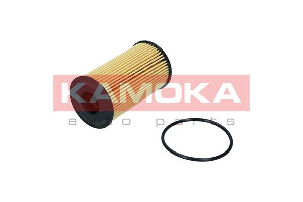 Oil Filter (F121401)