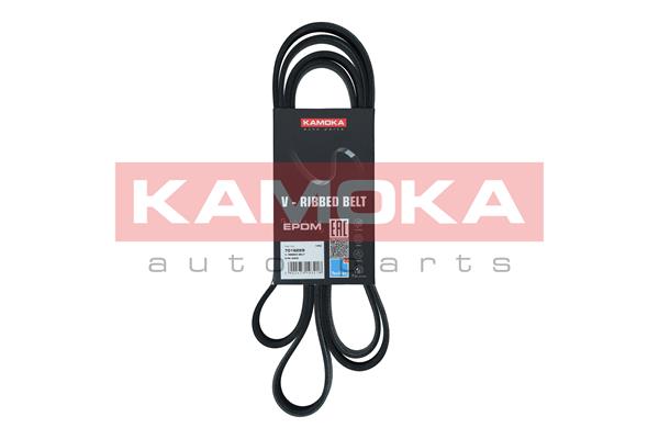 V-Ribbed Belt (7016229)