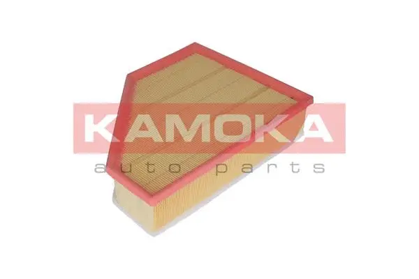 Air Filter (F219701)