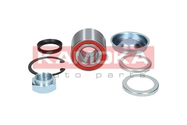 Wheel Bearing Kit (5600069)