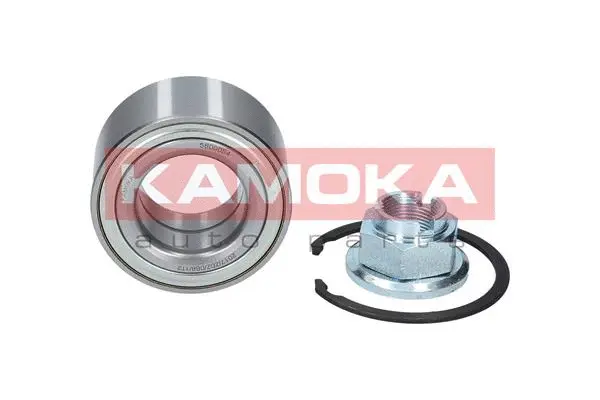 Wheel Bearing Kit (5600054)