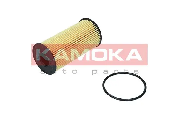 Oil Filter (F116401)