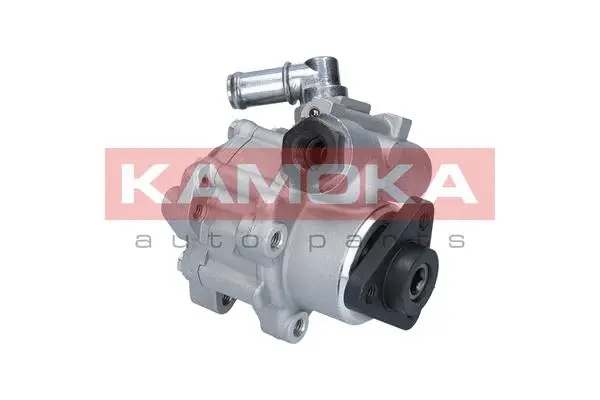 Hydraulic Pump, steering (PP031)