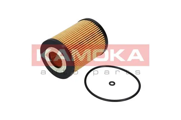 Oil Filter (F111301)