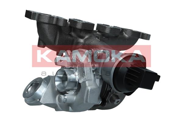 Charger, charging (supercharged/turbocharged)