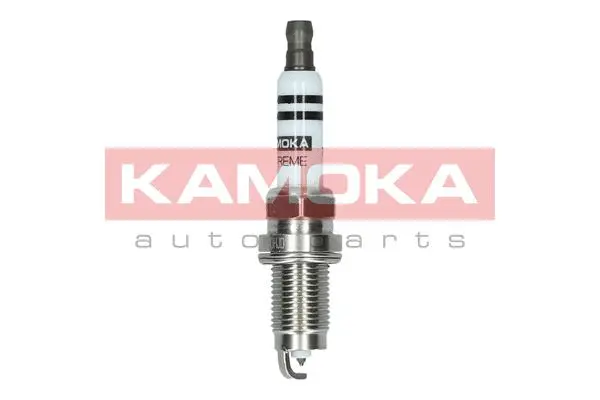 Spark Plug (7090012)