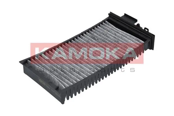 Filter, cabin air (F503501)