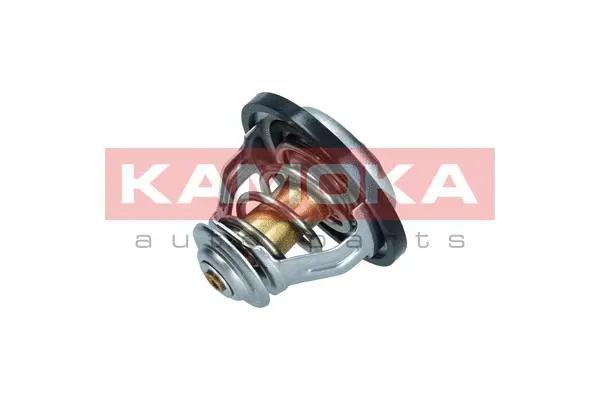 Thermostat, coolant (7710065)