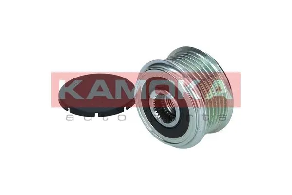 Alternator Freewheel Clutch