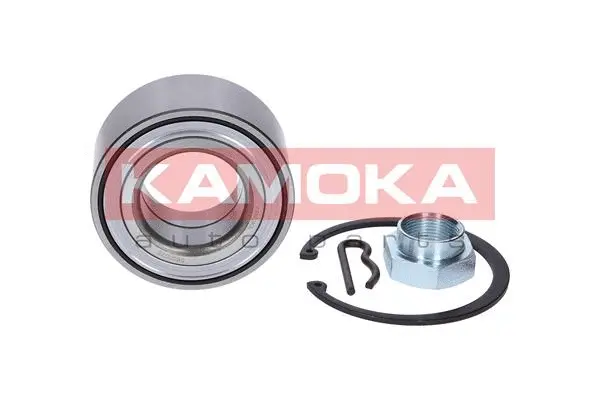 Wheel Bearing Kit (5600076)