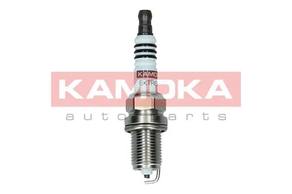 Spark Plug (7090510)