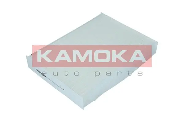 Filter, cabin air (F419301)