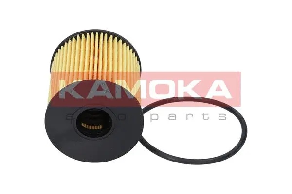 Oil Filter (F103401)