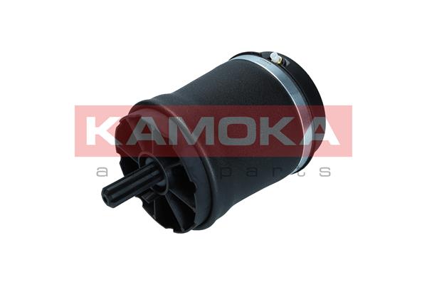 Air Spring, suspension