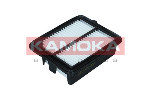 Air Filter (F259701)