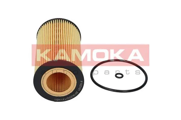Oil Filter (F102101)