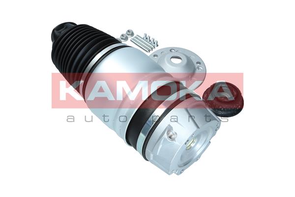 Air Spring, suspension