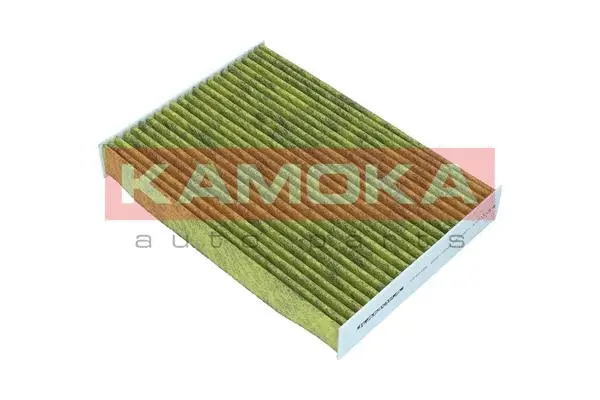 Filter, cabin air (6080160)