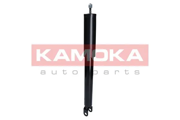 Shock Absorber (2000996)