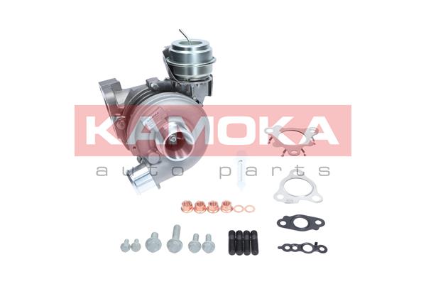 Charger, charging (supercharged/turbocharged) (8600088)