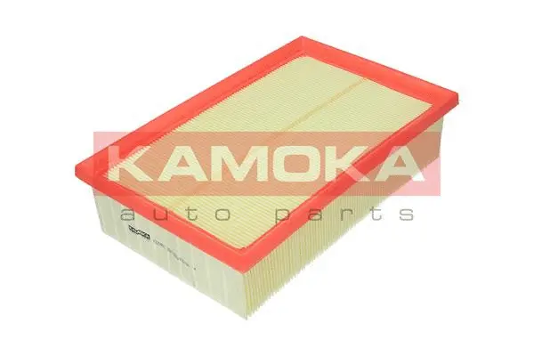 Air Filter (F229901)