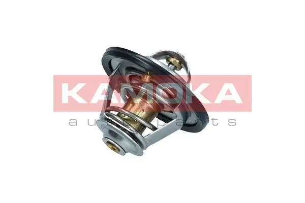 Thermostat, coolant (7710129)