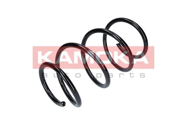 Suspension Spring (2110116)