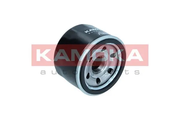 Oil Filter (F120801)