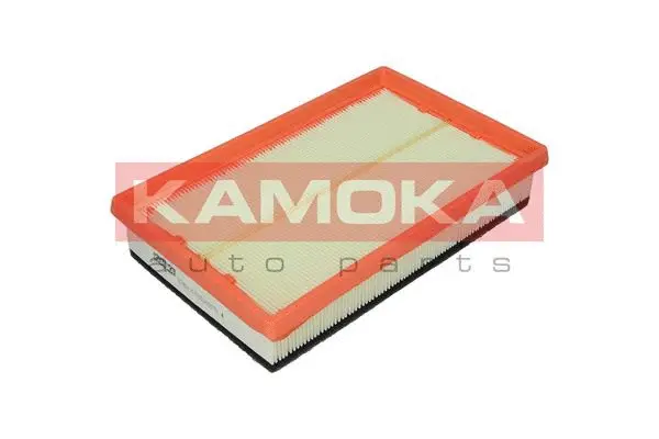 Air Filter (F224601)