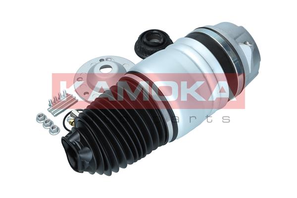 Air Spring, suspension