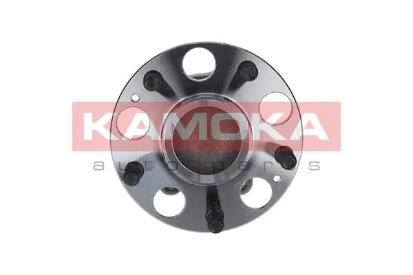 Wheel Bearing Kit (5500082)