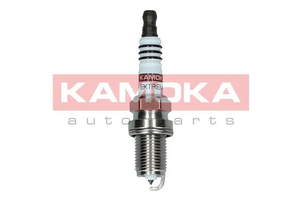 Spark Plug (7090032)