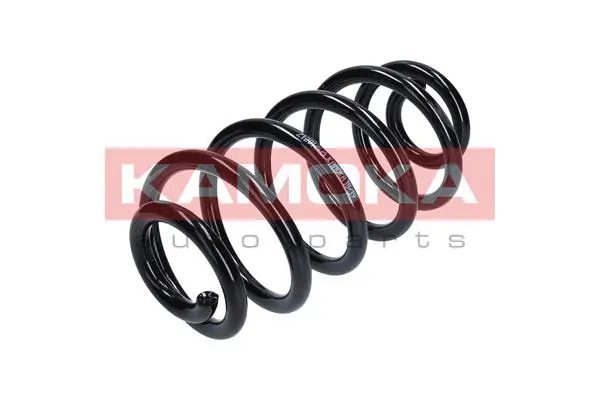 Suspension Spring (2120166)