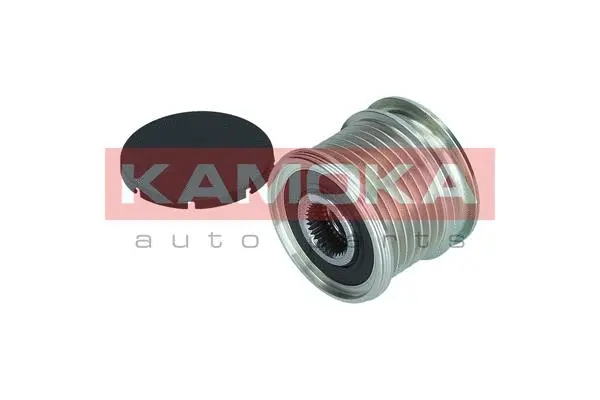 Alternator Freewheel Clutch