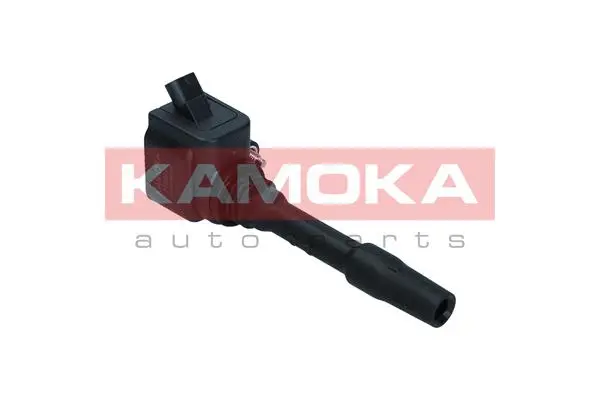 Ignition Coil (7120147)